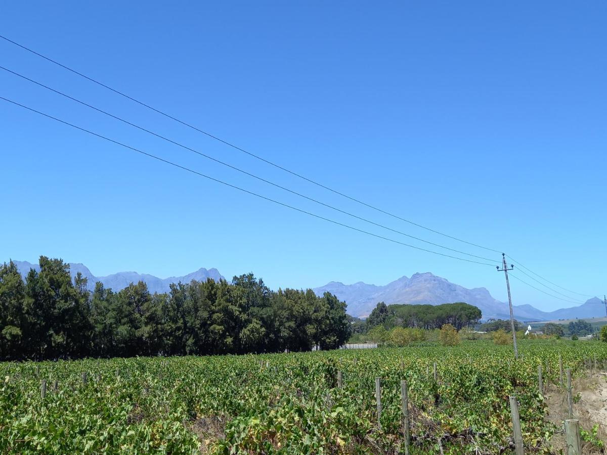 Hotel Rouana Guest Farm Stellenbosch Exteriér fotografie