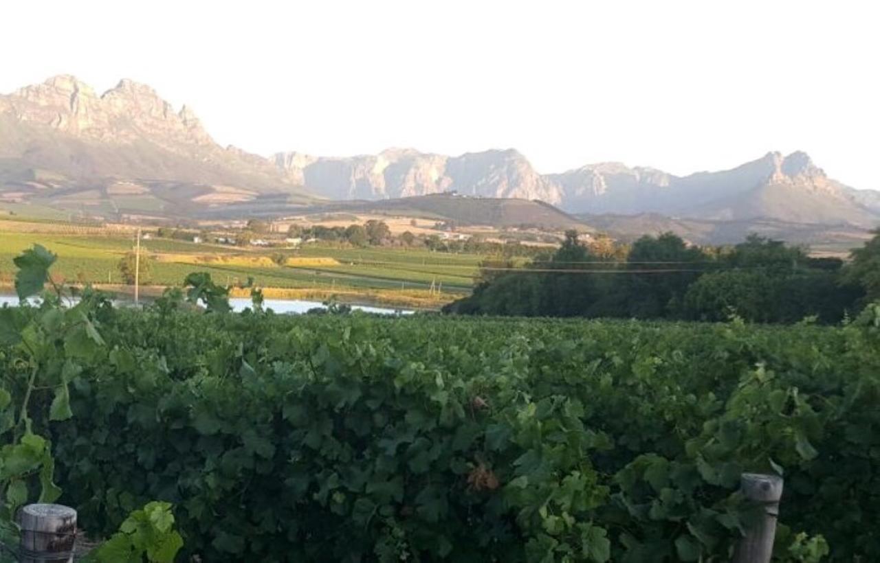 Hotel Rouana Guest Farm Stellenbosch Exteriér fotografie