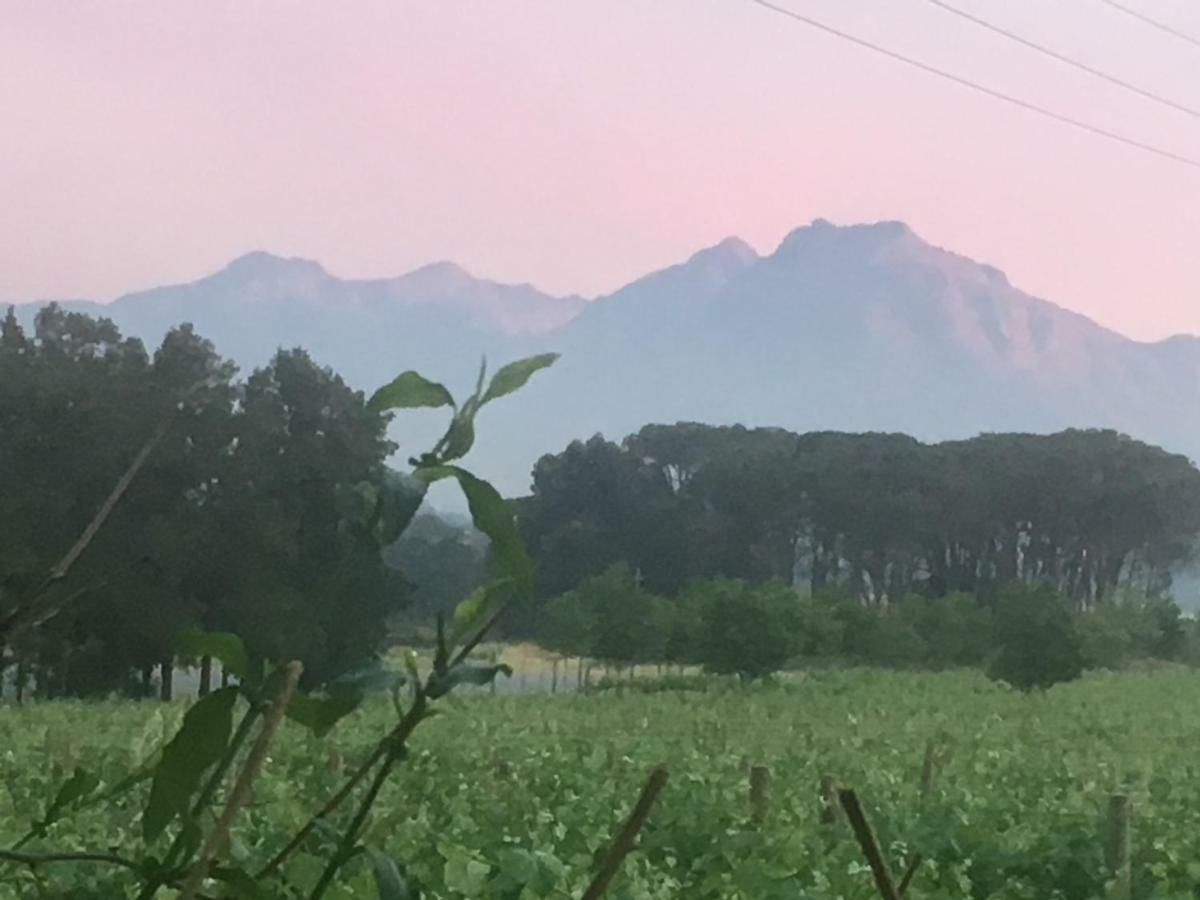 Hotel Rouana Guest Farm Stellenbosch Exteriér fotografie