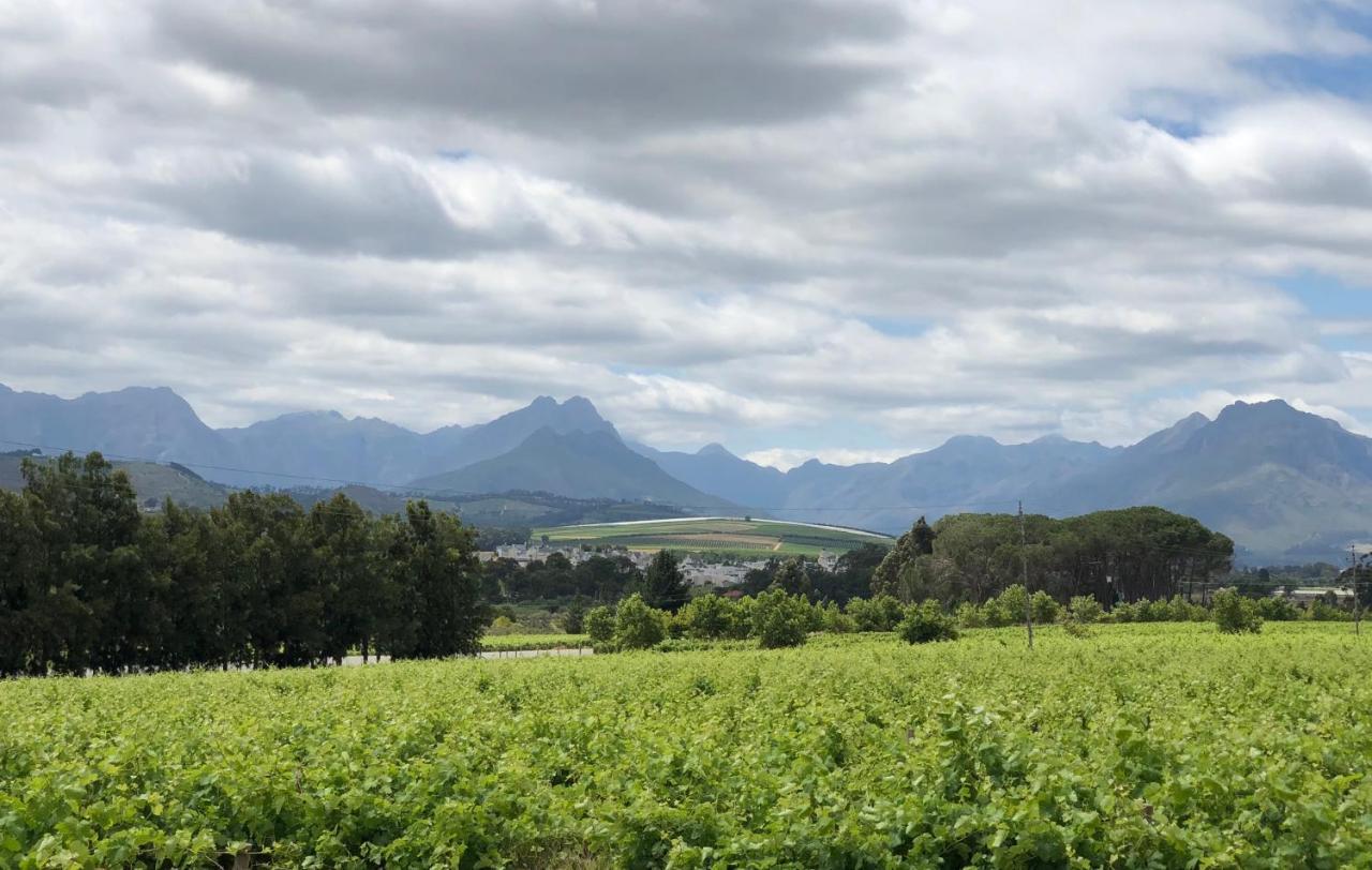 Hotel Rouana Guest Farm Stellenbosch Exteriér fotografie